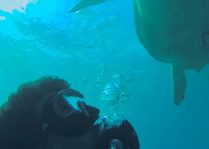 Private Diving In Hurghada